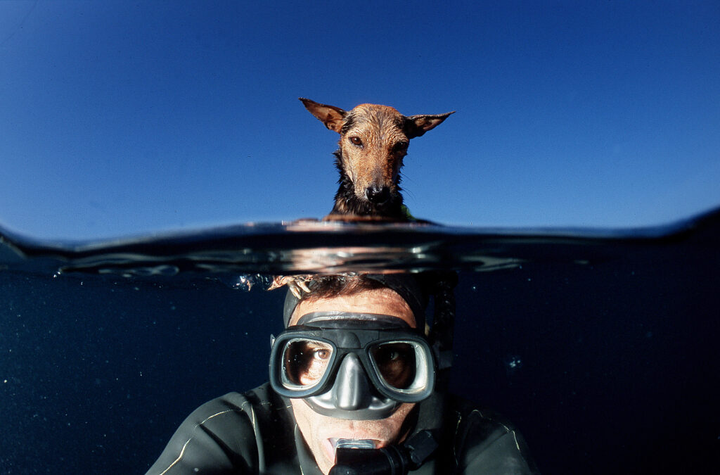 Autoportrait-Kazem-Chien